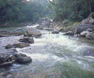 Rio Bonito